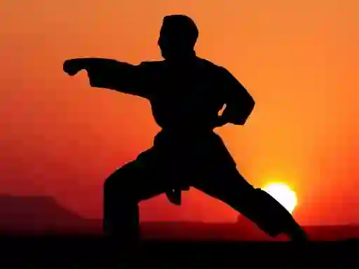 Spel Karate Sunset Warriors på nätet