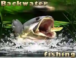 Spel Backwater Fishing på nätet