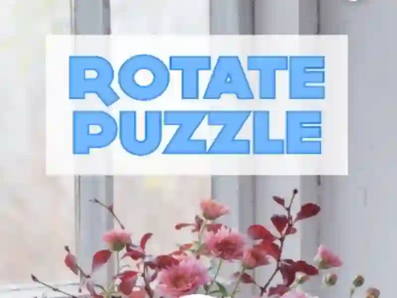 Spel Rotate Puzzle på nätet