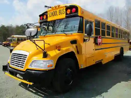 Spel School Buses Puzzle på nätet