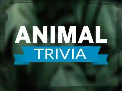Spel Animal Trivia på nätet