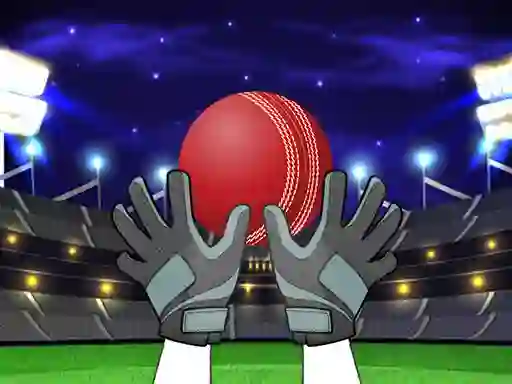 Spel Catch The Balls på nätet