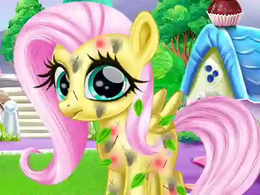 Spel Little Pony Caretaker på nätet