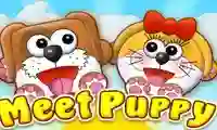Spel Meet Puppy på nätet