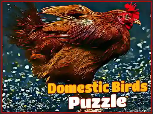 Spel Domestic Birds Puzzle på nätet