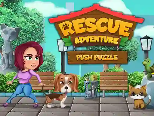 Spel Rescue Adventure Push Puzzle på nätet