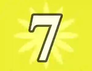 Spel Number 7 på nätet