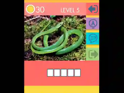 Spel 15 Picture Quiz på nätet