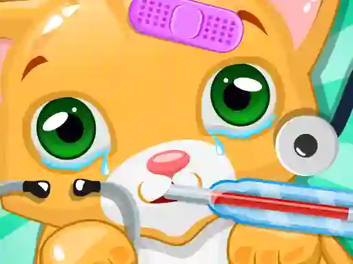 Spel Kitty Doctor på nätet
