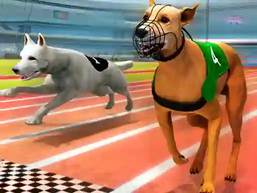 Spel Dogs 3D Races på nätet