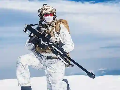 Spel Snow Sniper på nätet