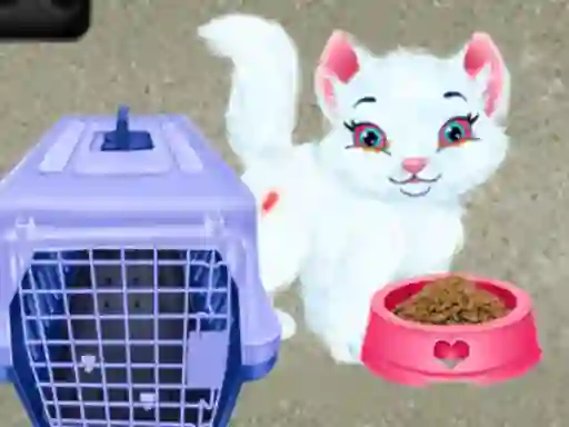 Spel Baby Taylor Pet Care på nätet