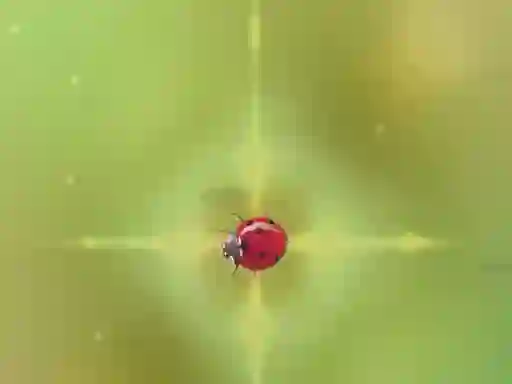 Spel Pest Control på nätet