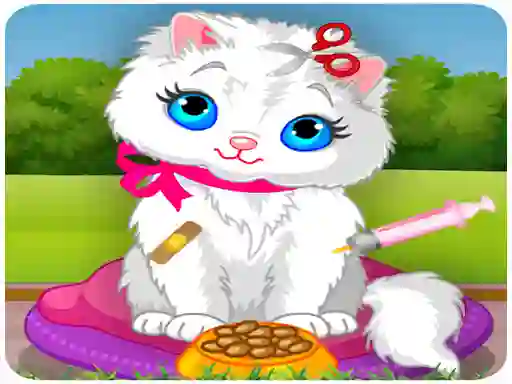 Spel Vet Cat Clinic på nätet