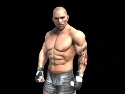 Spel Fight Arena Online på nätet