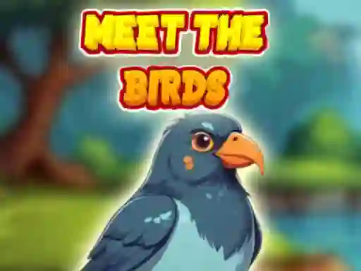 Spel Meet The Birds på nätet