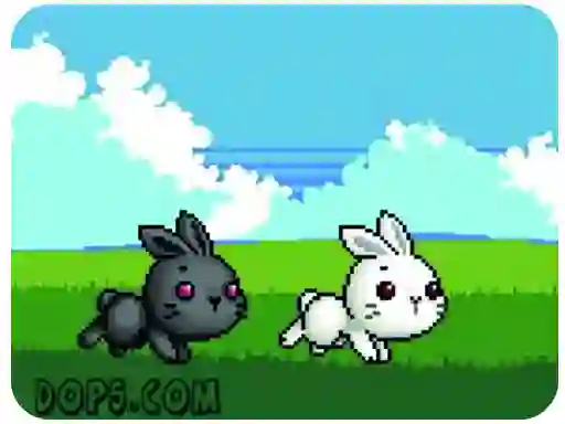 Spel Cute Rabbit på nätet