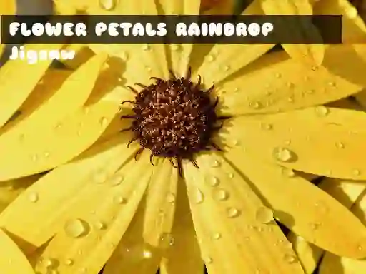 Spel Flower Petals Raindrop Jigsaw på nätet