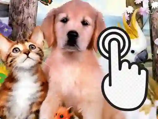 Spel Pets Clicker på nätet