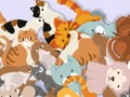 Spel Hitta Kitty  på nätet
