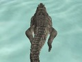Spel Krokodilsimulator strandjakt på nätet