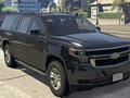 Spel Chevrolet förortsskillnader på nätet