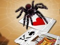 Spel Hoppa Spider  på nätet