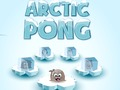 Spel Arktisk pong på nätet