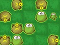Spel Groda Rush  på nätet