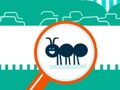 Spel Squashy bug på nätet
