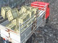 Spel Offroad lastbilschaufför på nätet