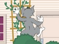 Spel Tom och Jerry: Wasserbomben Wahnsinn  på nätet
