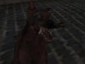 Spel Nazi -zombiearmén på nätet