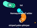 Spel Curvz. io  på nätet