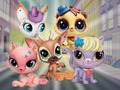 Spel Little Pet Shop: kurragömma  på nätet