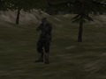Spel FPS Agency: Forest på nätet