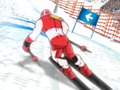 Spel Vintersport: Slalom Hero  på nätet
