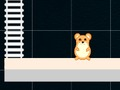 Spel Smart hamster: Jämn och udda  på nätet