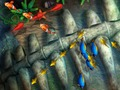 Spel Fiskekungen  på nätet