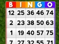 Spel Bingo på nätet