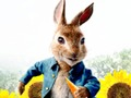 Spel Peter Rabbit: Trouble in the Maze  på nätet
