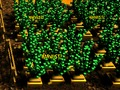 Spel Pixelgård på nätet