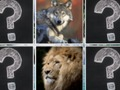 Spel Memory Match Jungle Animals på nätet