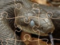 Spel Mysterious Snakes: Pussel  på nätet
