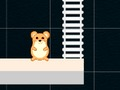 Spel Smart Hamster Time  på nätet