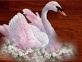 Spel Love Birds Puzzle på nätet