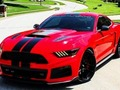 Spel Fancy Mustang skillnader  på nätet
