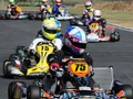 Spel Kartkartpussel på nätet