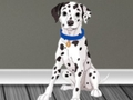 Spel Veterinärläkare Escape 2  på nätet