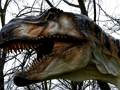 Spel T-Rex Dinosaurie-pussel  på nätet